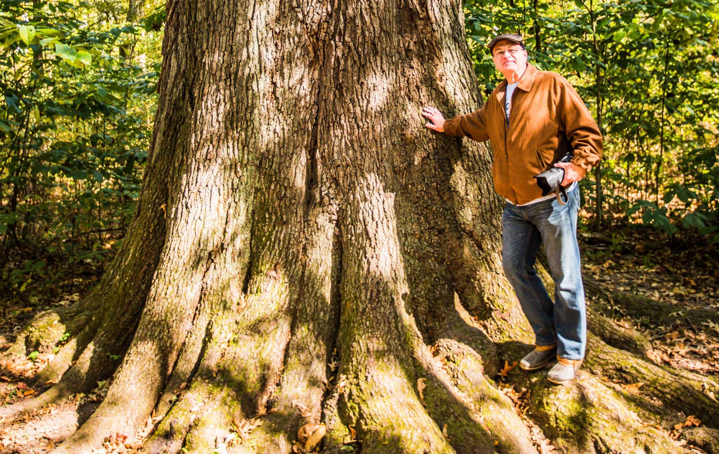 A man leaning on the State Champion Cherrybark Oak at Cache River Wetlands