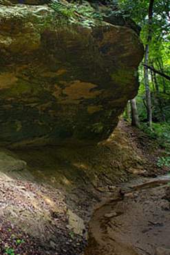 A rock cave in the forest