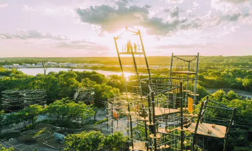 A high obstacle course amongst the trees