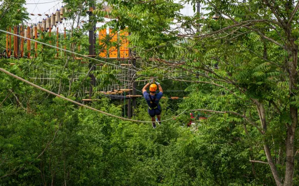 Zipline at the forge