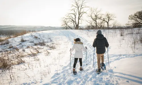 People cross country skiing