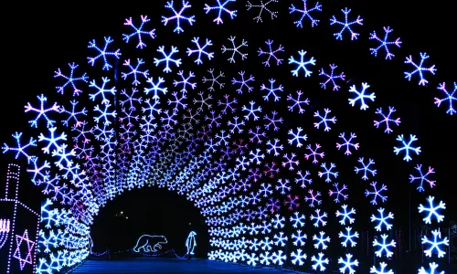 A light show for holiday time.