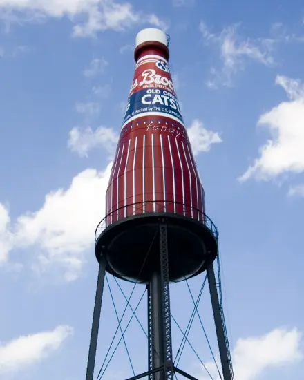 The giant Brooks Catsup Bottle against a blue sky in Collinsville