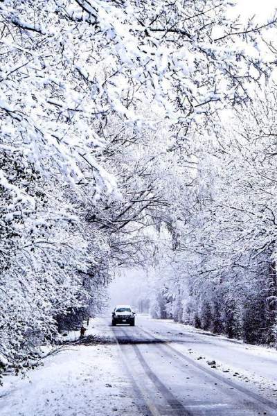 Car driving down road with snow covered tress either side