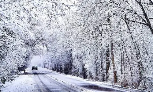 Car driving down road with snow covered tress either side