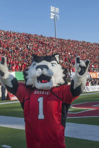 The dog mascot for the Northern Illinois University Huskies, at a busy football game