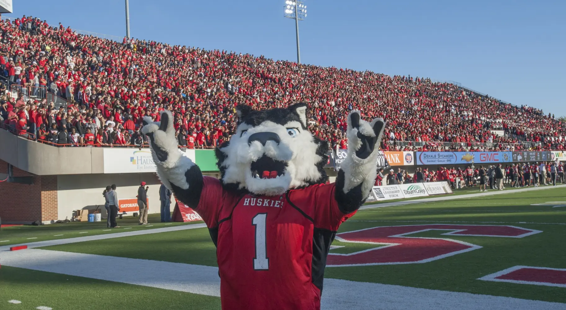 The dog mascot for the Northern Illinois University Huskies, at a busy football game
