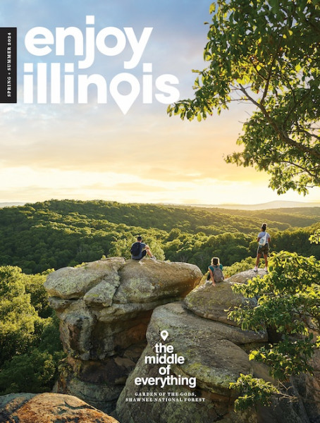 cms travel guide illinois