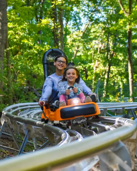 Adult and child riding an alpine coaster through a wooded area.