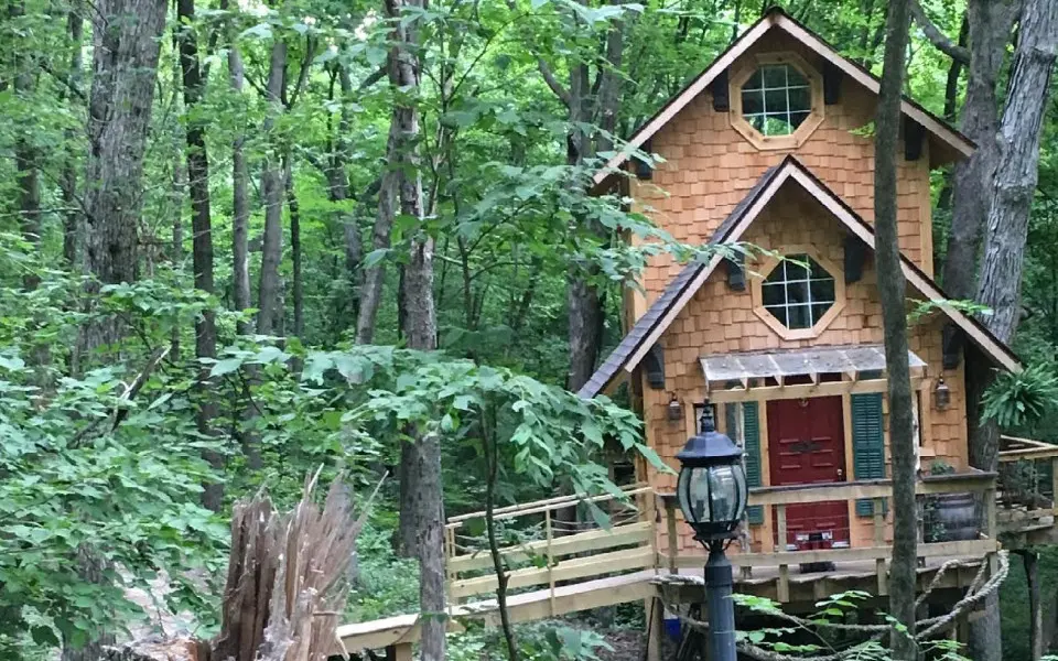 House in a forest