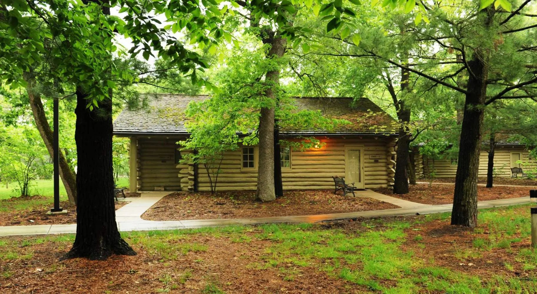 A log cabins among the trees