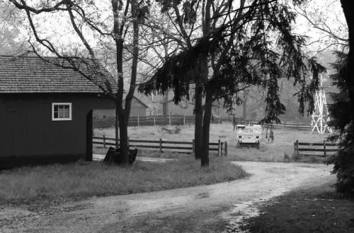 A farm