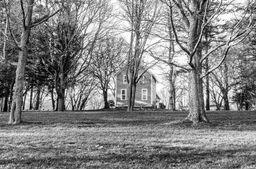 A house amongst trees