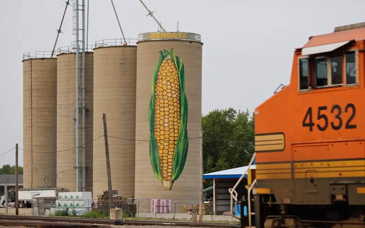 An artwork of corn on a silos