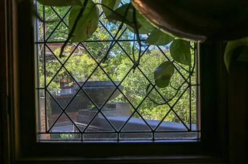 Looking through a window to a garden