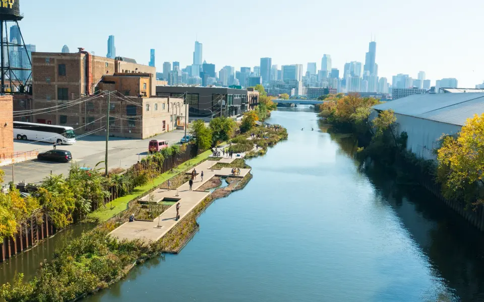 The wild mile on Chicago River looking towards the city buildings