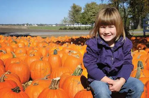 A girl sitting on a pumpkin
