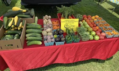 A table of fresh produce at the Benton Farmers Market