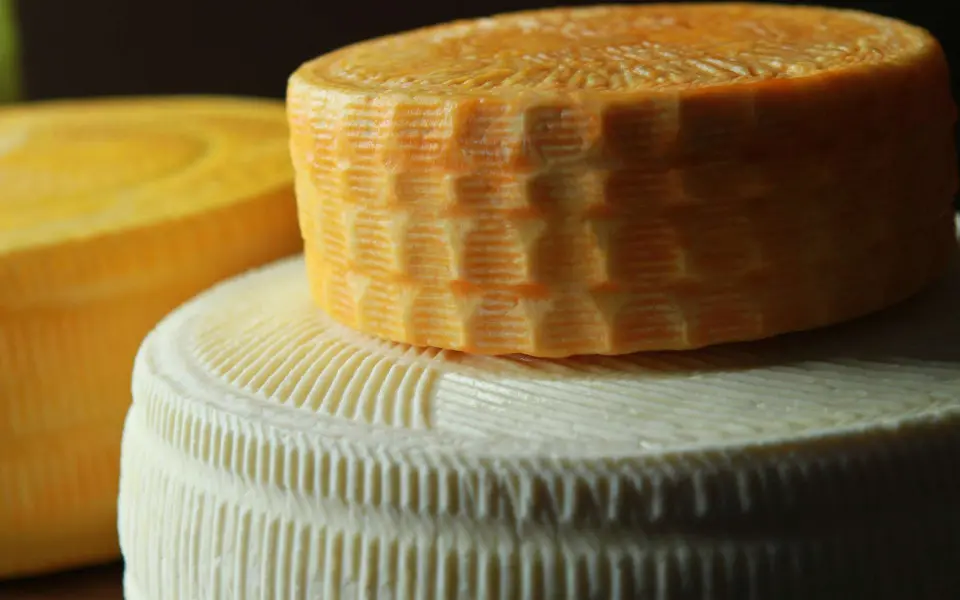Two wheels of cheese made by Marcoot Jersey Creamery in Greenville