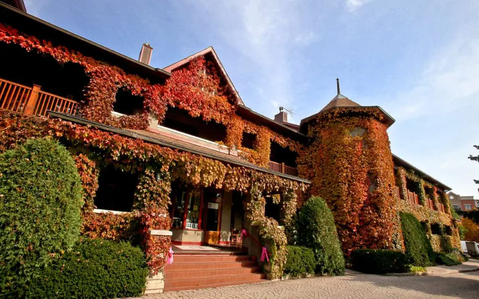 The exterior of the building covered in orange leaves during the fall