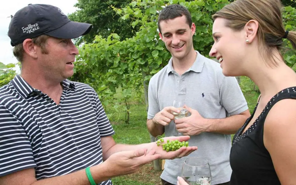 A winemaker talks grape varietals with visitors at Galena Cellars Vineyard and Winery.