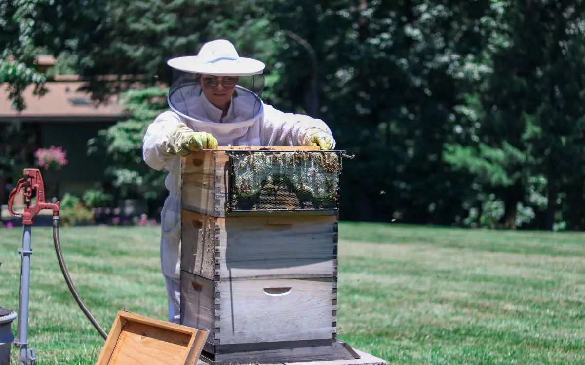 A lady suited in a bee farm