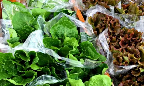 Bags of lettuce