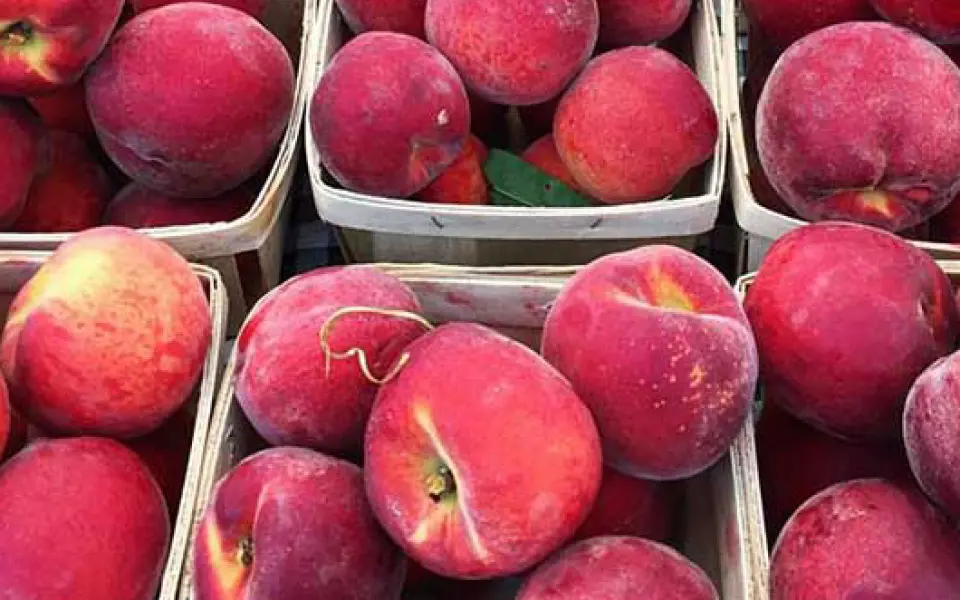 Peaches in containers