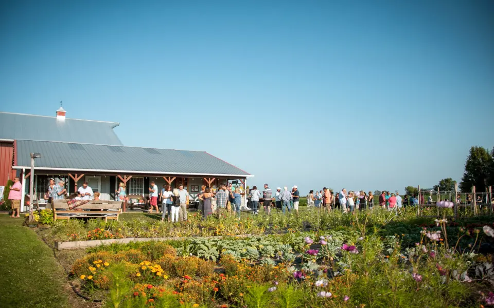 People Gathered chatting and drinking outside the farm house