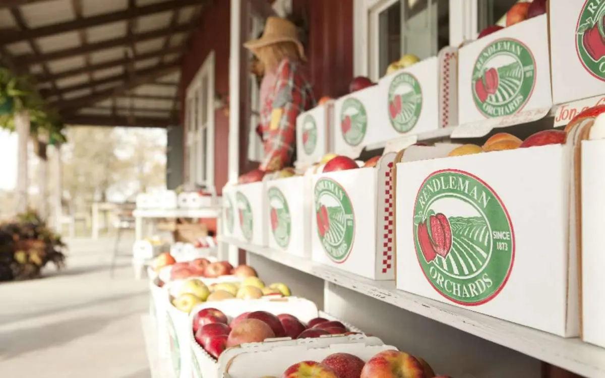 Boxes of Apples at Rendleman Orchard Apples