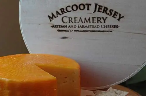 A round of farmstead cheese made at Marcoot Jersey Creameary