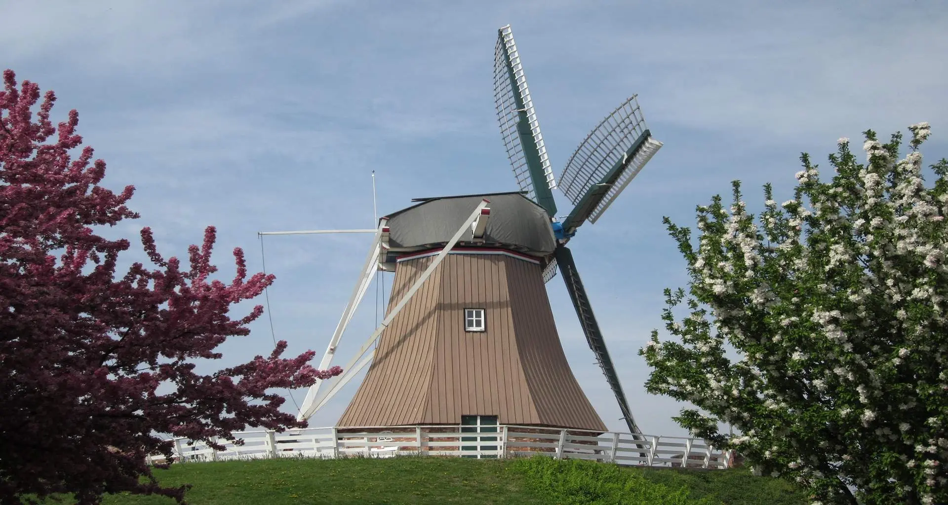 A windmill on a hill between two trees