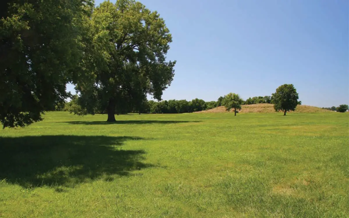 Landscape of Cahokia Mounds