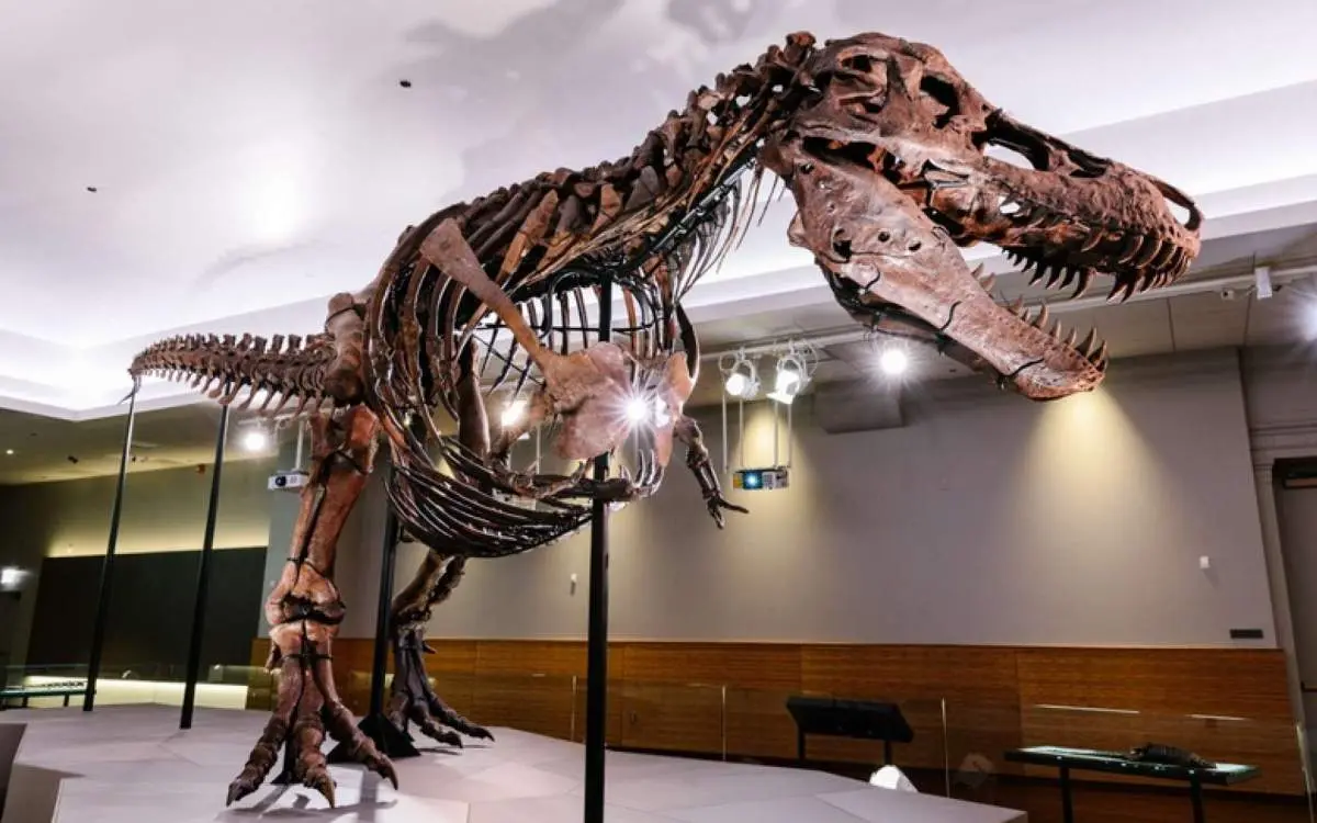 Left side of a dinosaur at Museum of Science and Industry.