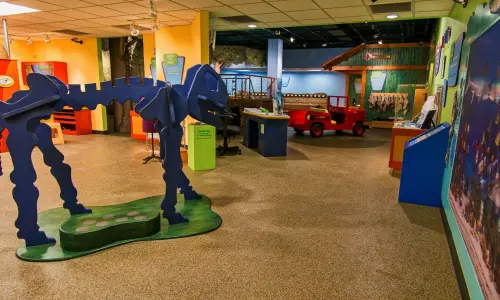 Display at the Illinois Childrens Museum
