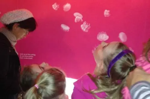 Kids staring at the jellyfish