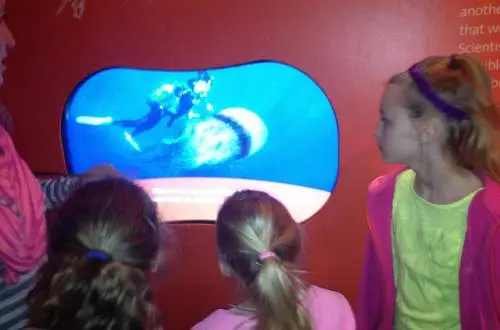 Kids staring at picture of jellyfish