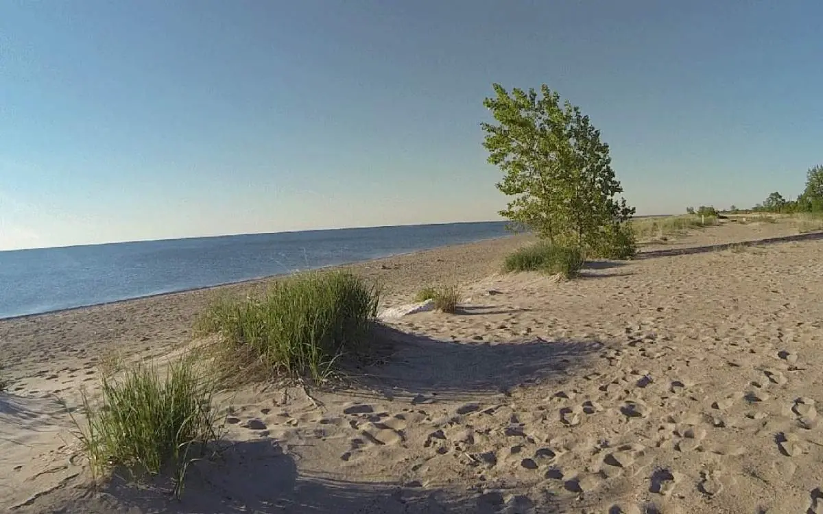 The beach