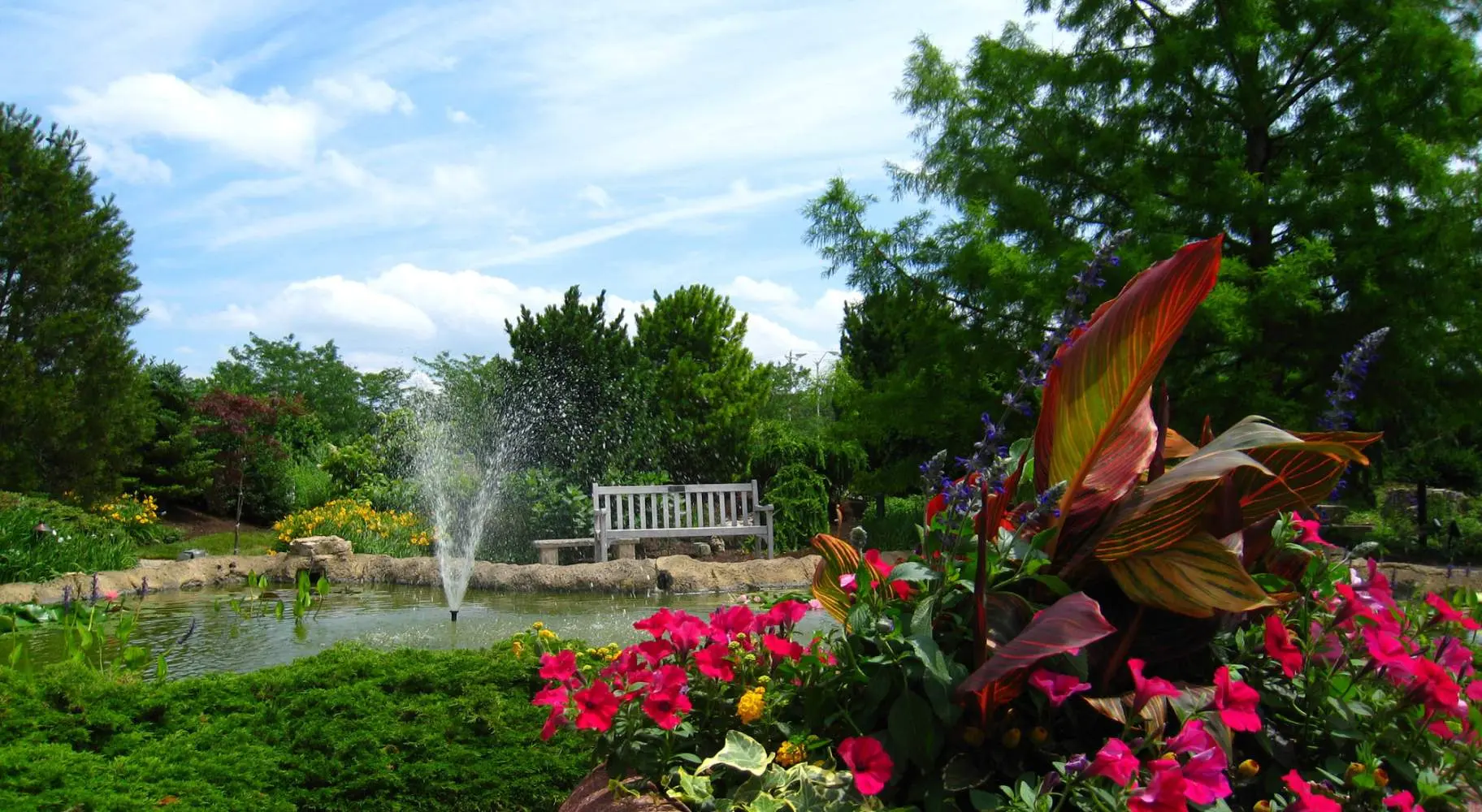 A garden with a pond, chair and some flowers