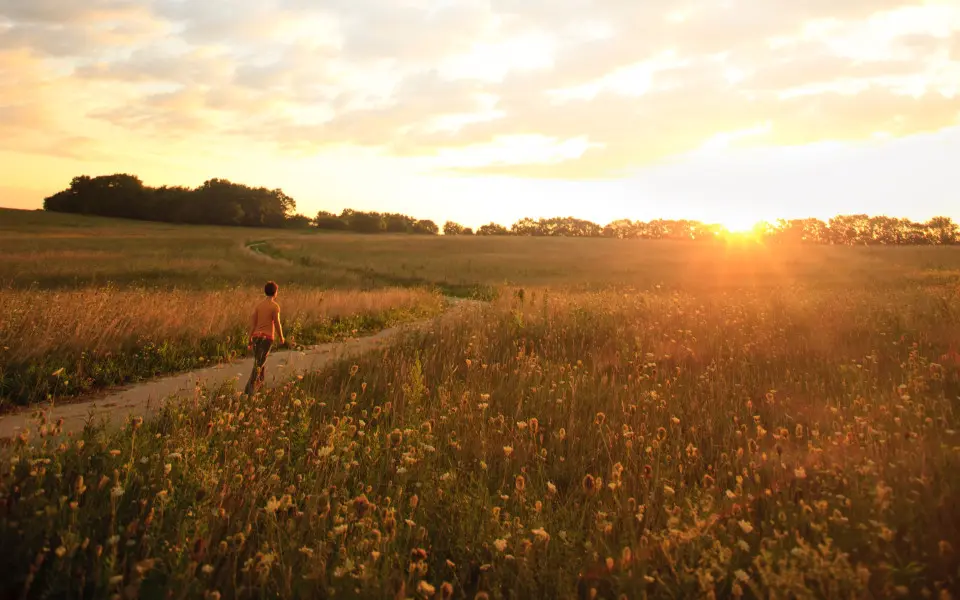 A person walking down a path through a grass field at sunset