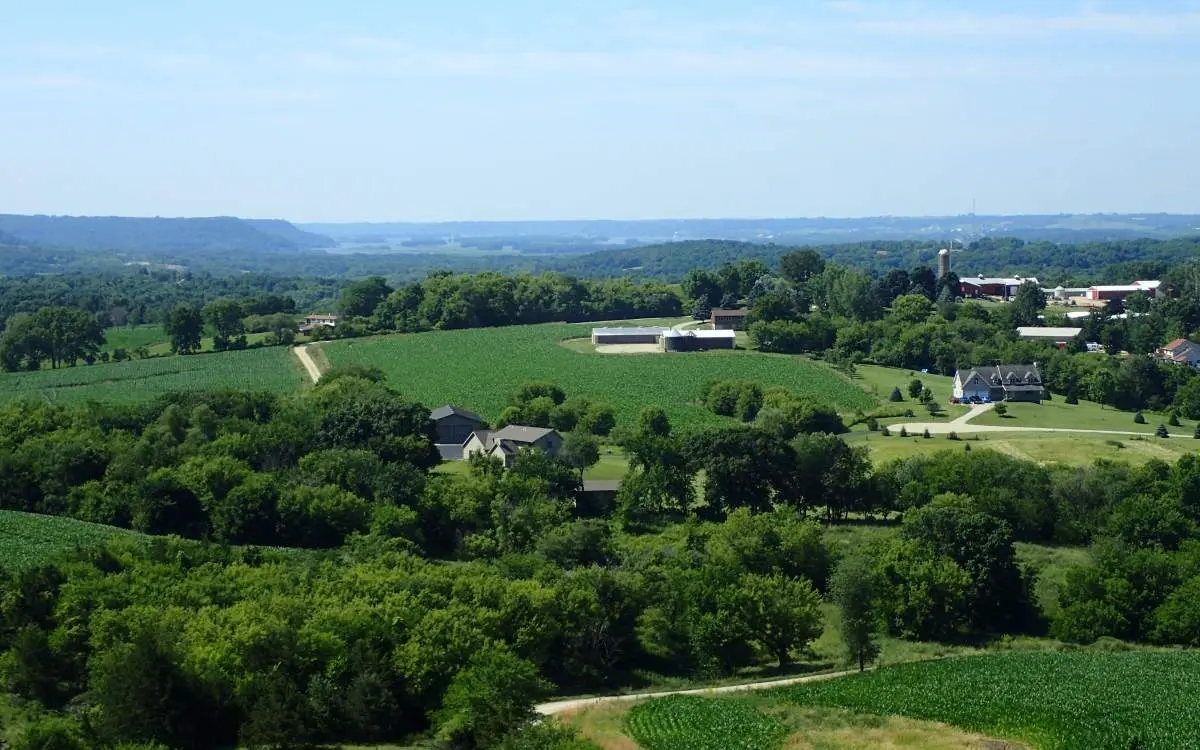 A landscape view of a field and trees