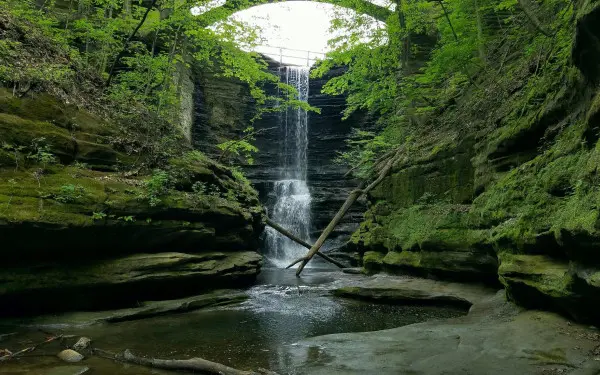 A waterfall down rocks into a pool with lots of greenery and moss