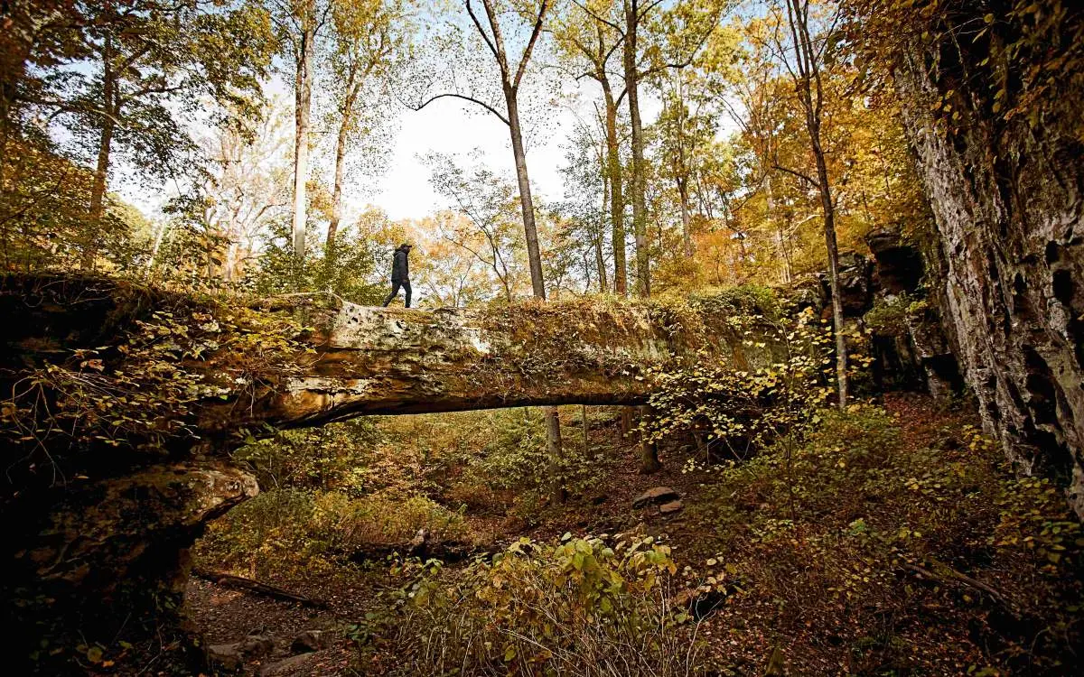 A person walking along the Pomona natural bridge in the Shawnee National Forest