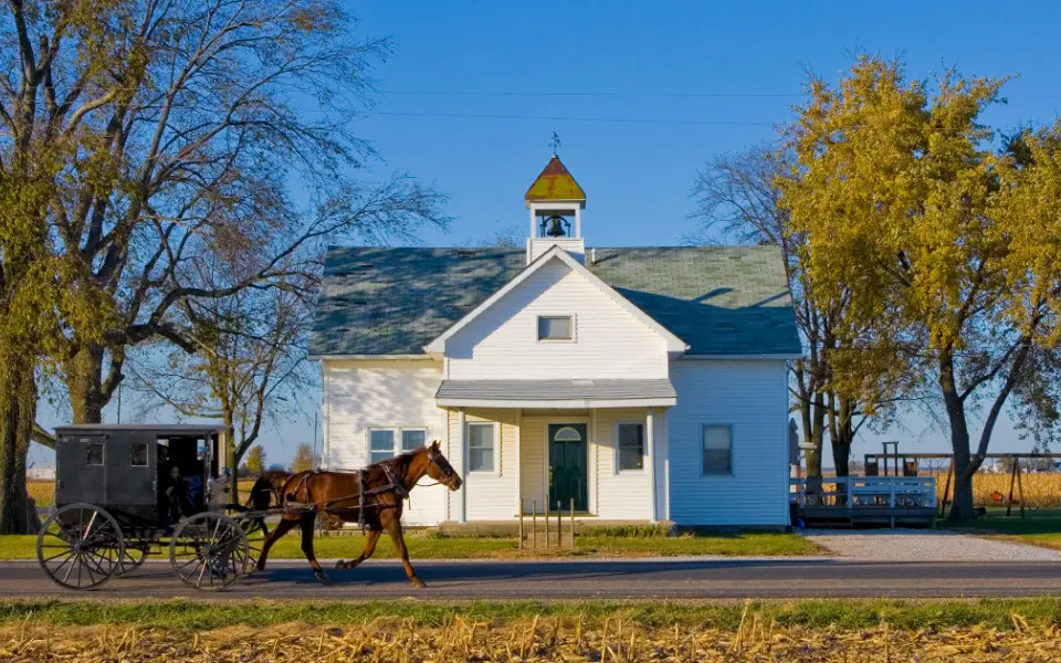 Horse Carriage going past an an Amish building