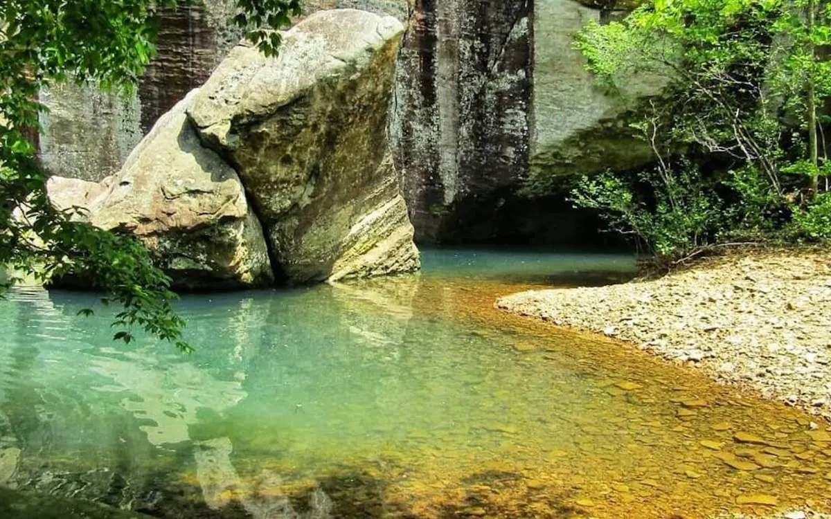 A waterhole