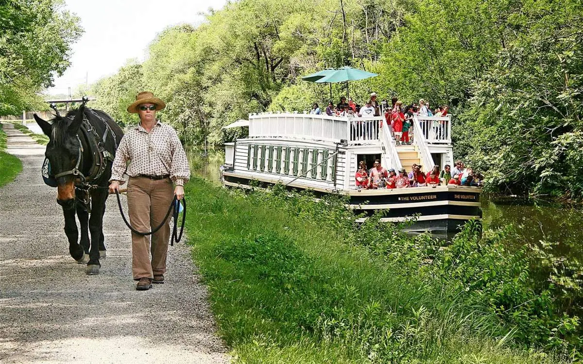 A woman walks a horse alongside the canal as the I&M canal boat passes