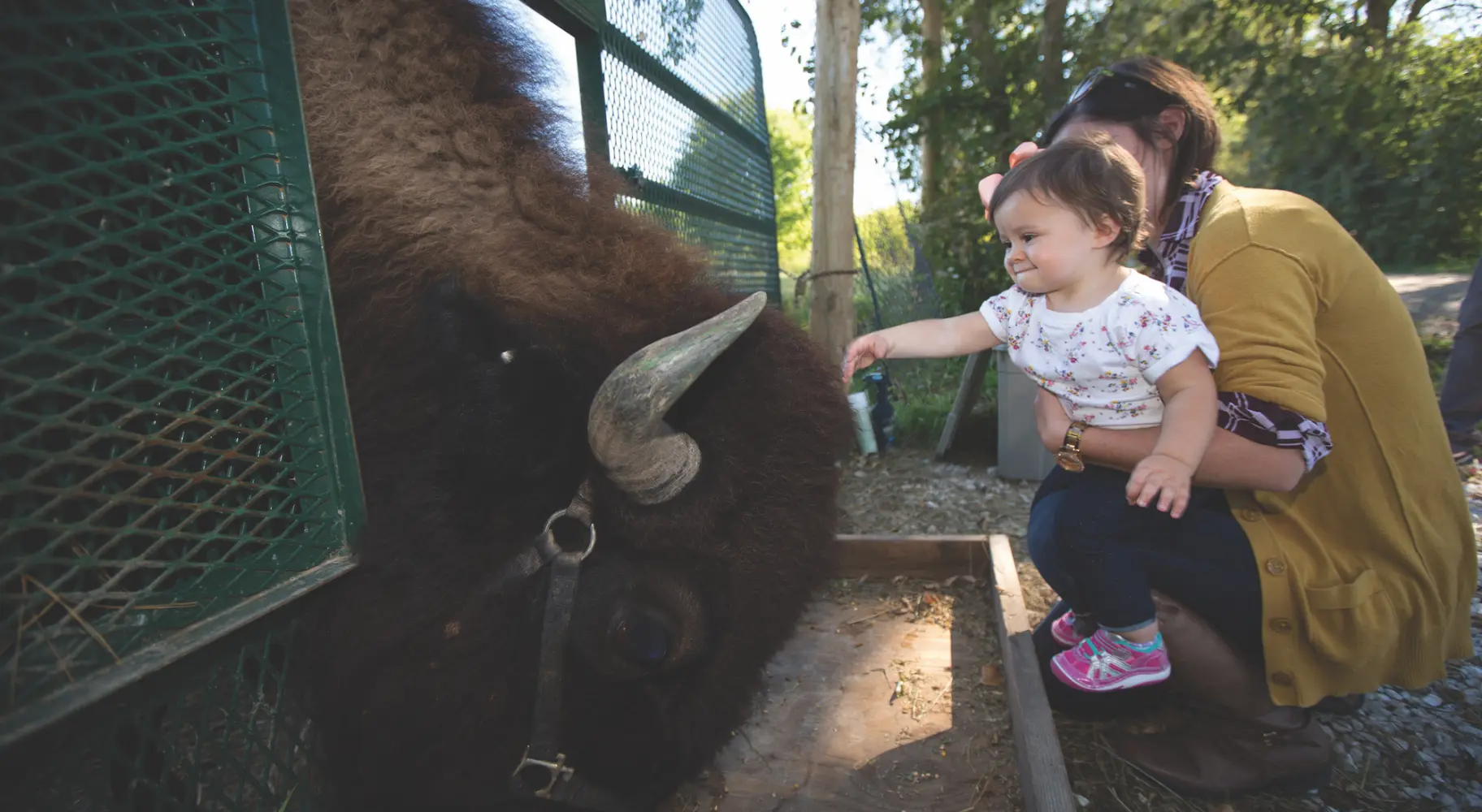 Animal and kid