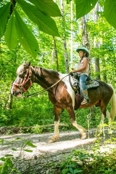 Horse riding down a trail