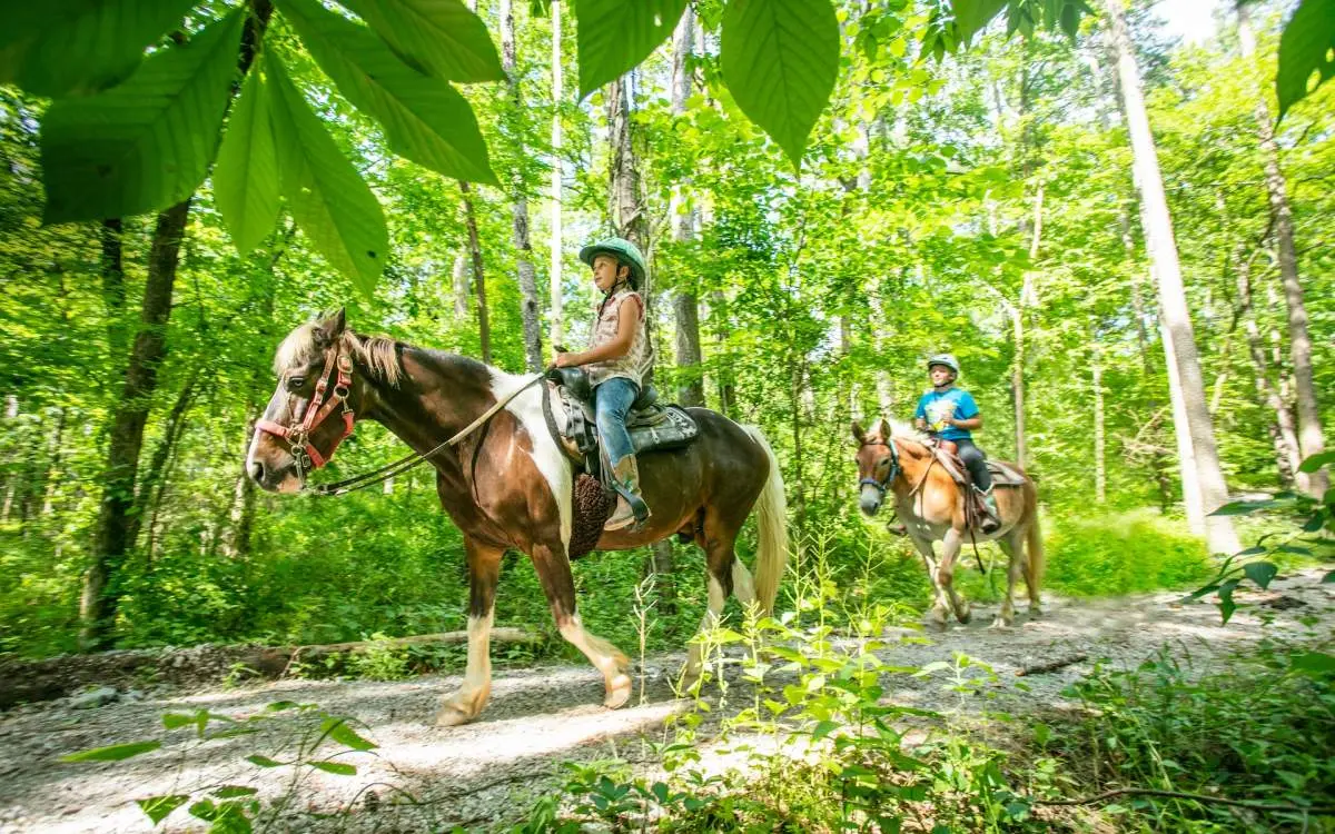 Horse riding down a trail