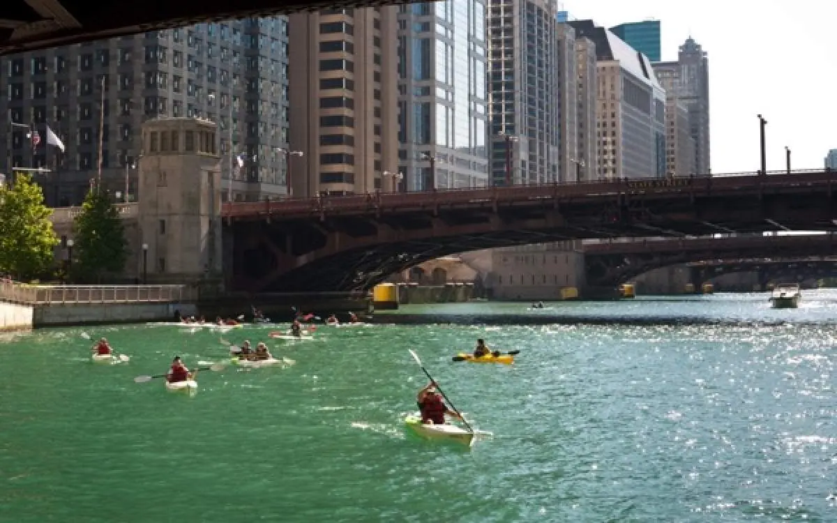 People kayaking under a bridge